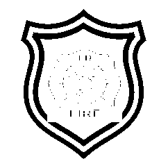 Fire — Shield