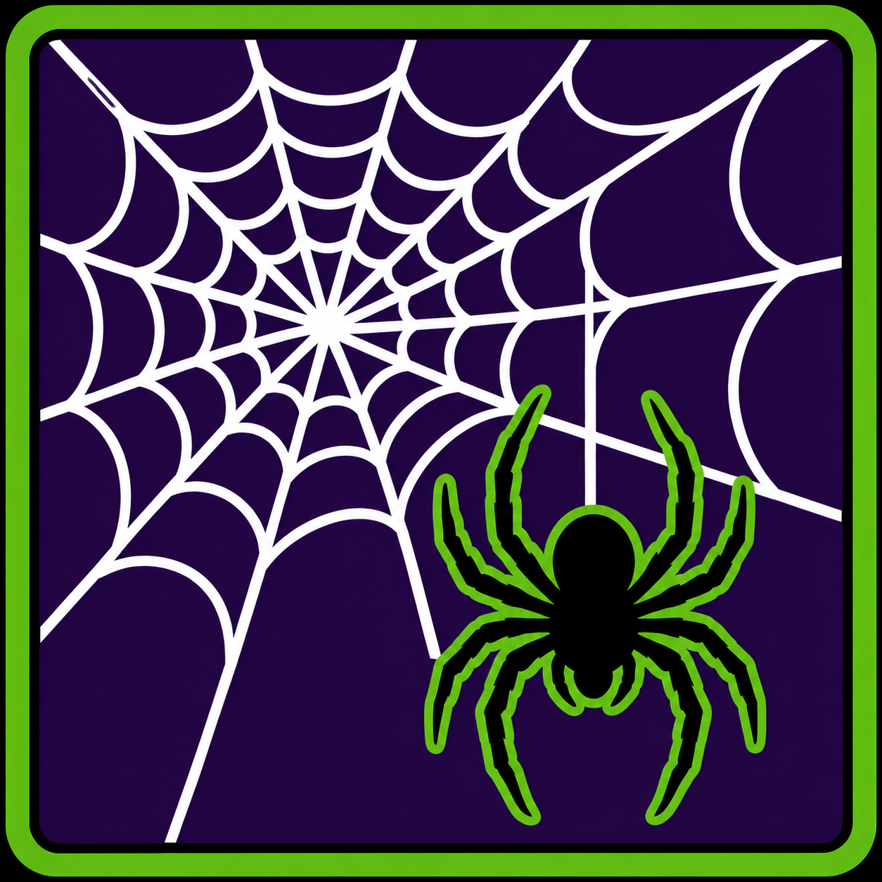 Spider on Web
