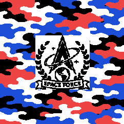 Space Force — Camo RWB