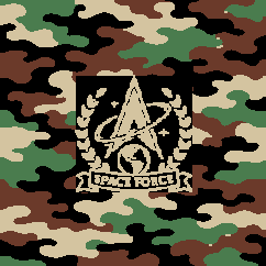 Space Force — Camo Traditional