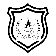 Space Force — Shield